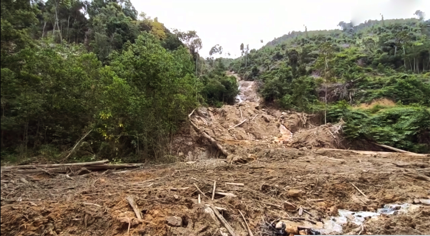 MB Orders Investigation on Segari Waterfall Deforestation | Ipoh Echo