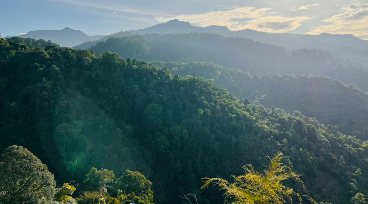 Rock Climbing in Nature | Ipoh Echo