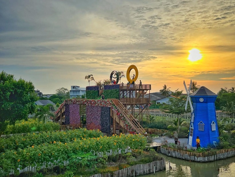 A Beautiful Sunflower Garden in Perak Ipoh Echo