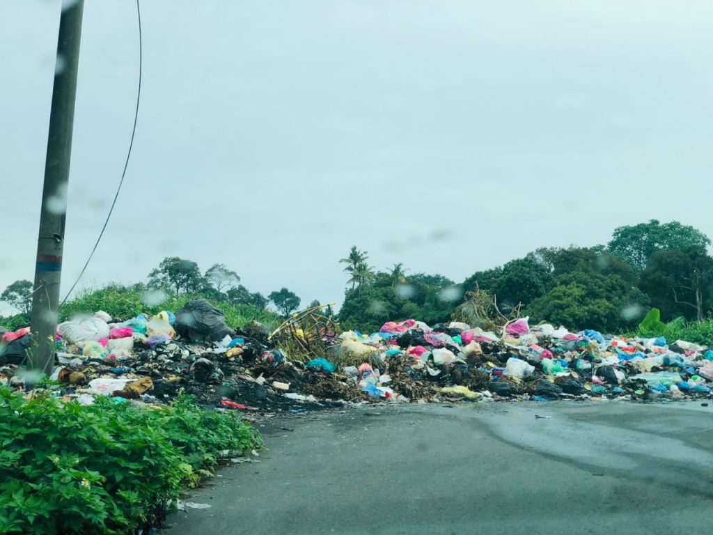 GARBAGE VIGILANTE - Garbage piles carry the risk of disease | Ipoh Echo