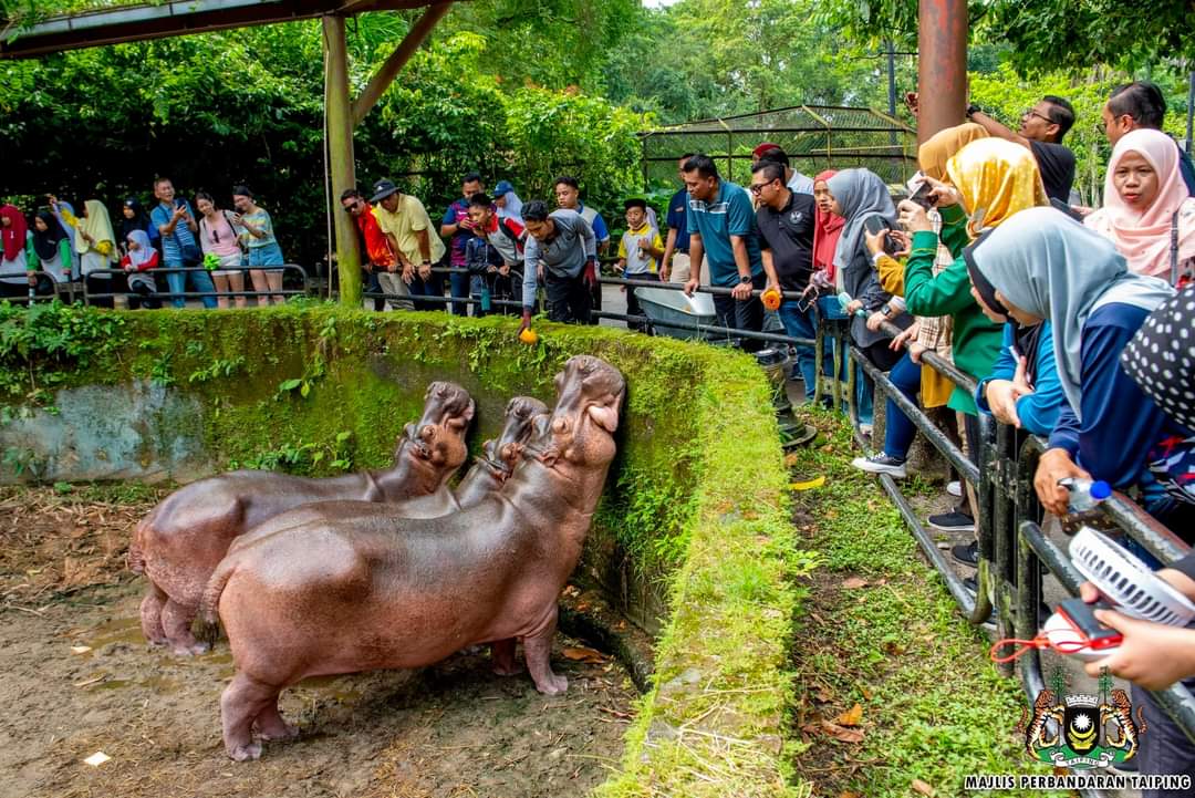 Taiping Zoo Offers Free Admission For Every 150th Visitor And Those 